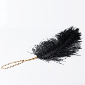 Feather Tickler